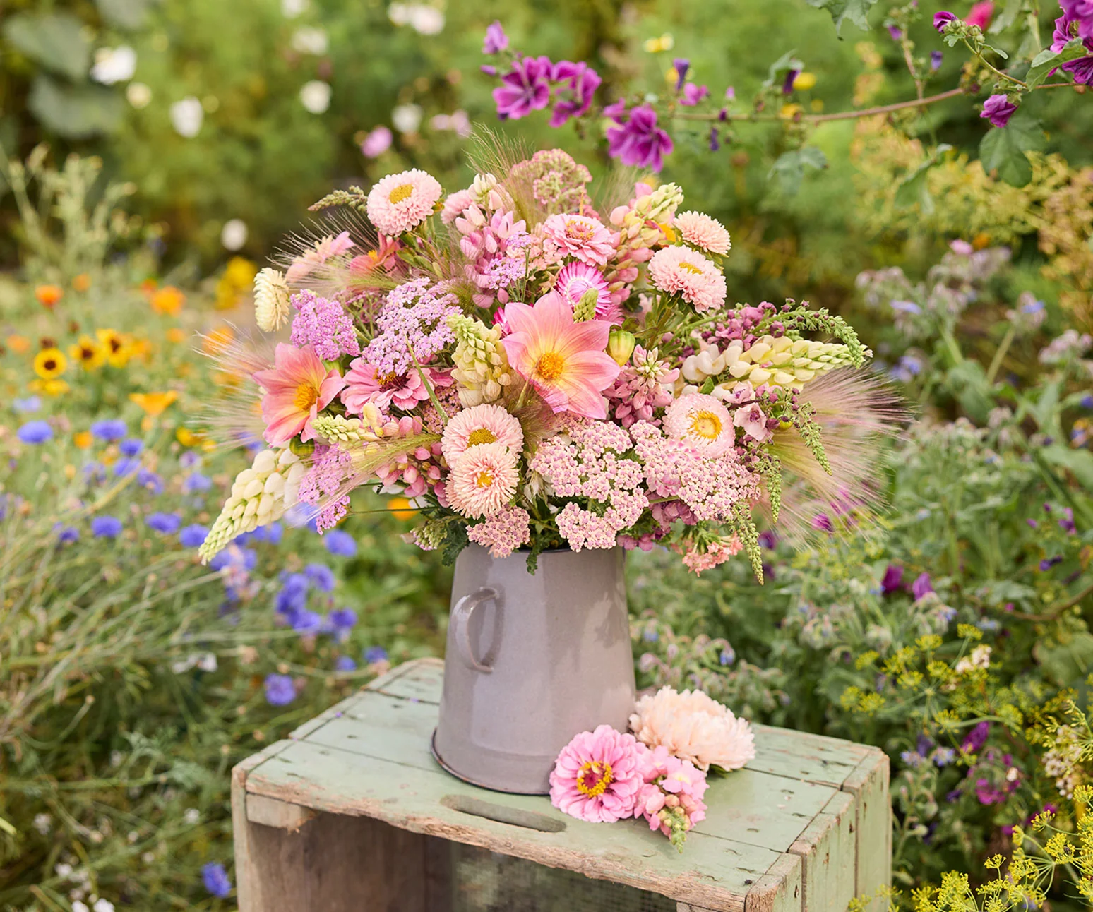 Grow Your Dream Garden Today